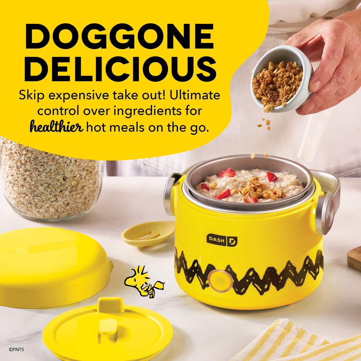 Hot2Go Electric Lunchbox (20 Ounce)