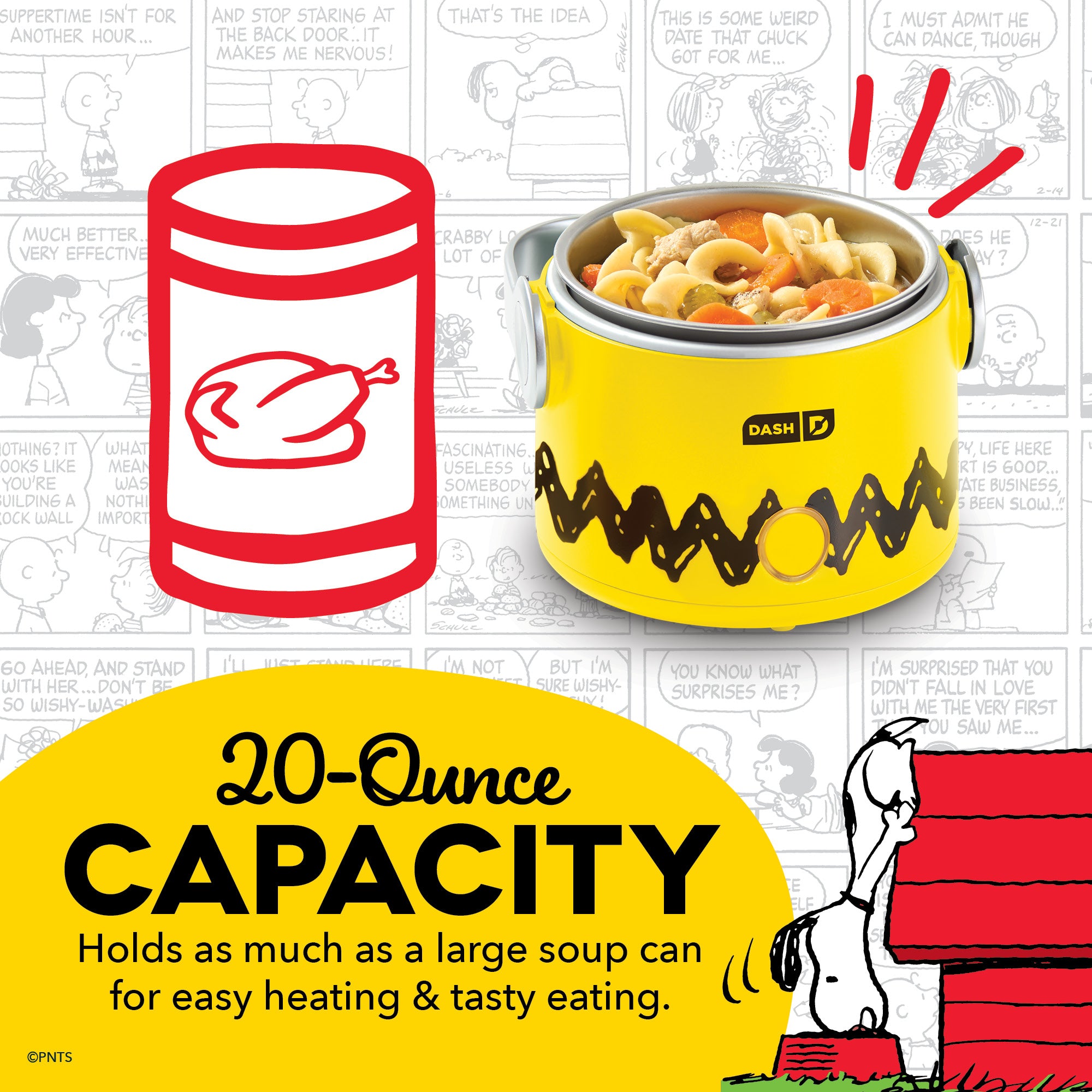 Hot2Go Electric Lunchbox (20 Ounce)